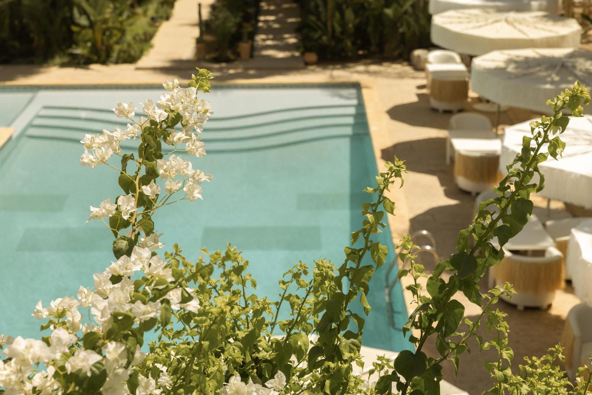 Les Palmiers Boutique Hotel & Spa Marrakesh Exterior photo